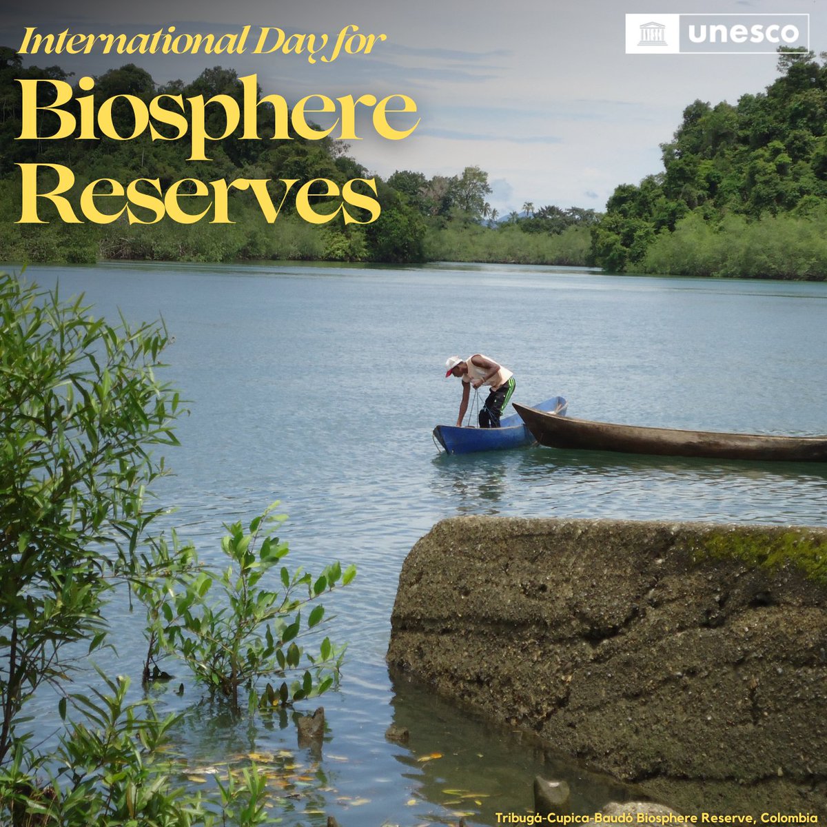 Today is International Day for #BiosphereReserves!

These unique sites unite people and nature, fostering local solutions for global challenges and paving the way toward a green economy and a sustainable future.

Learn more at unesco.org/en/days/biosph…  #ForNature