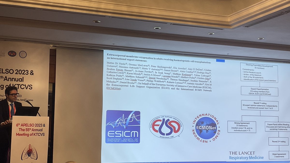 M Velia Antonini tweet media