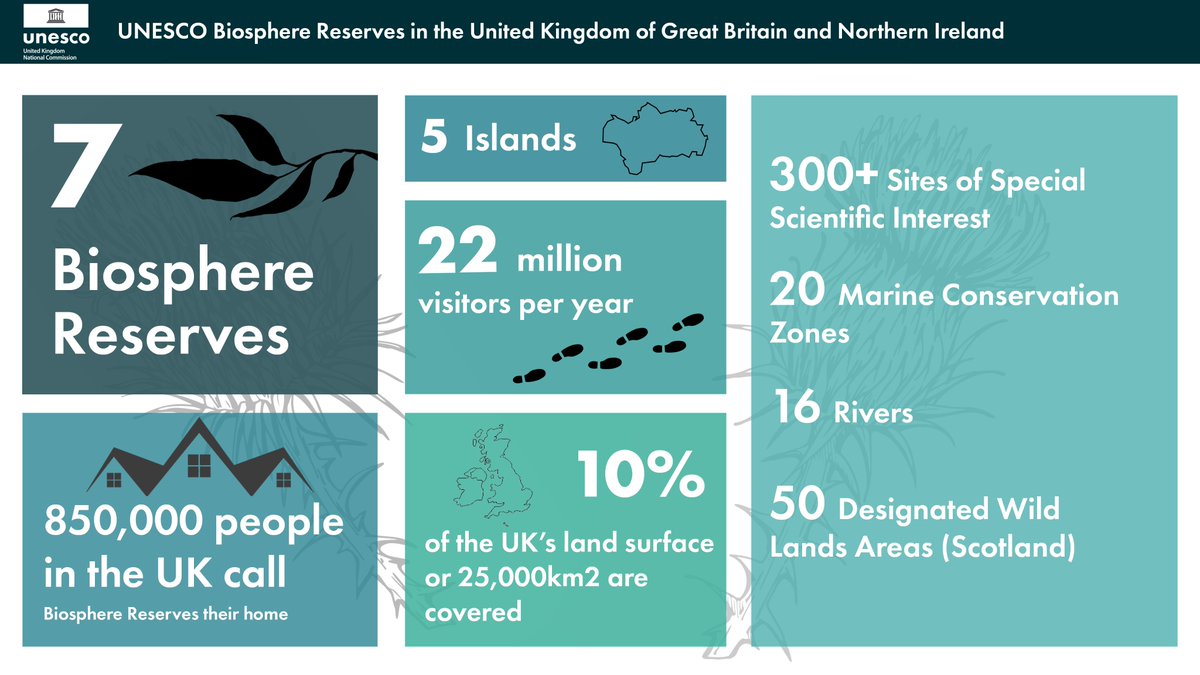 The Living Coast UNESCO Biosphere tweet media
