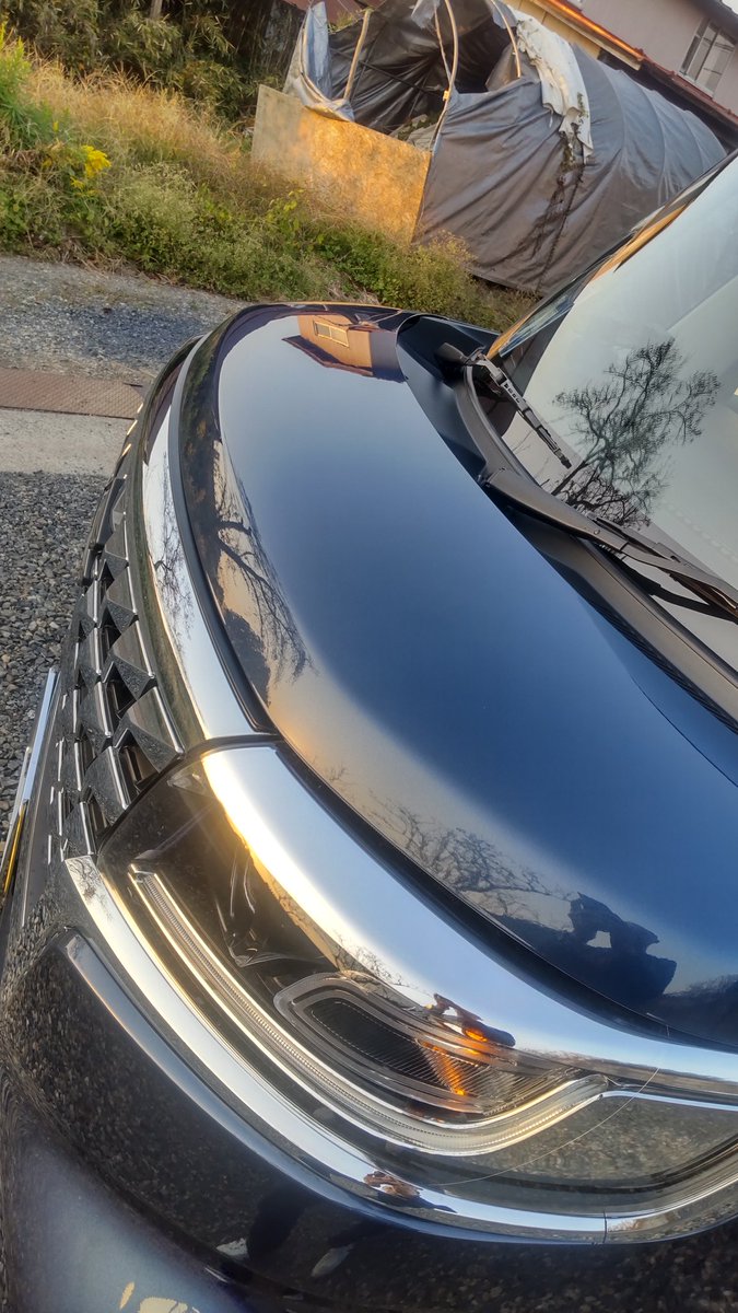 OVWRpgV9SA4MO2W's tweet image. 塗ってから4時間経過🙂

#BLUEMIX
#グラフェンシャイン