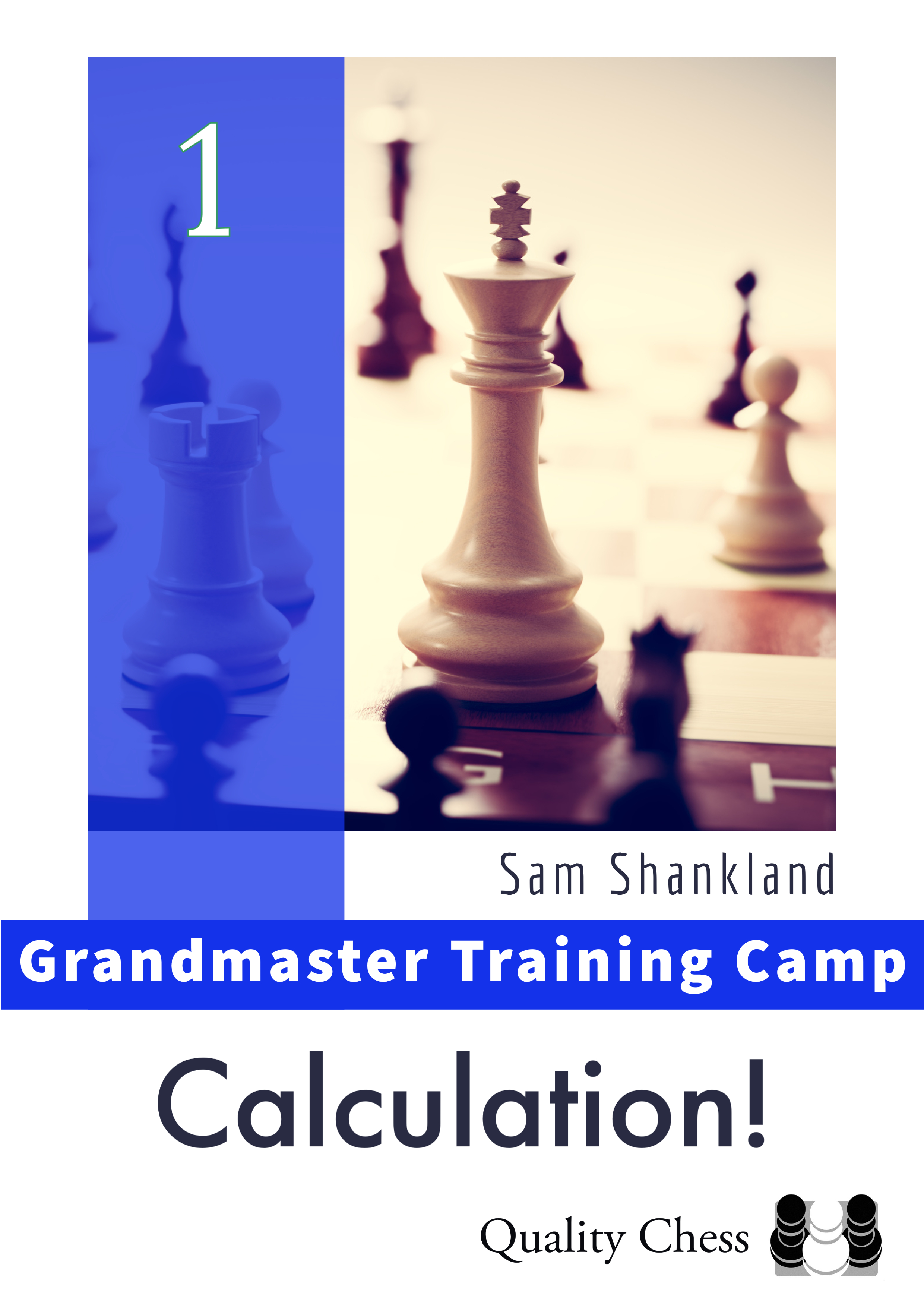 Calculation (Grandmaster Preparation) by Jacob Aagaard 