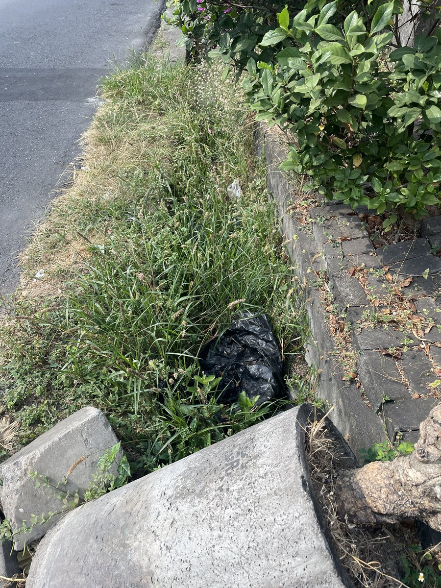 nana🌙 tweet media