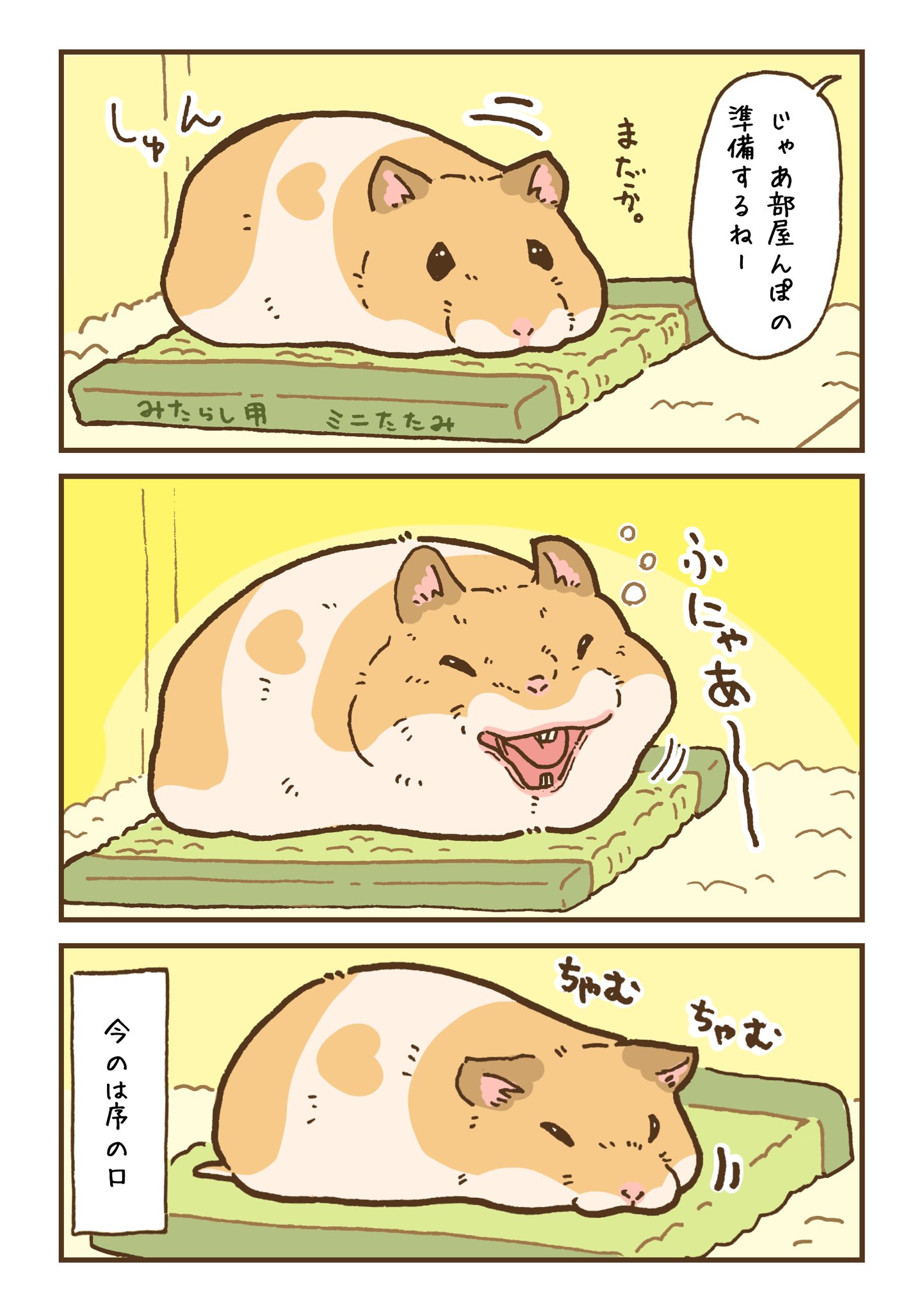 遊ハち＠ハムスター飼い on X: 