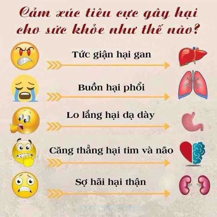 Tức giận gây hại và ảnh hướng rất lớn đến tinh thần và uy tín, cùng với sức khoẻ của bản thân và những người xung quanh.
#danhngoncuocsong #quatangcuocsong #danhngon