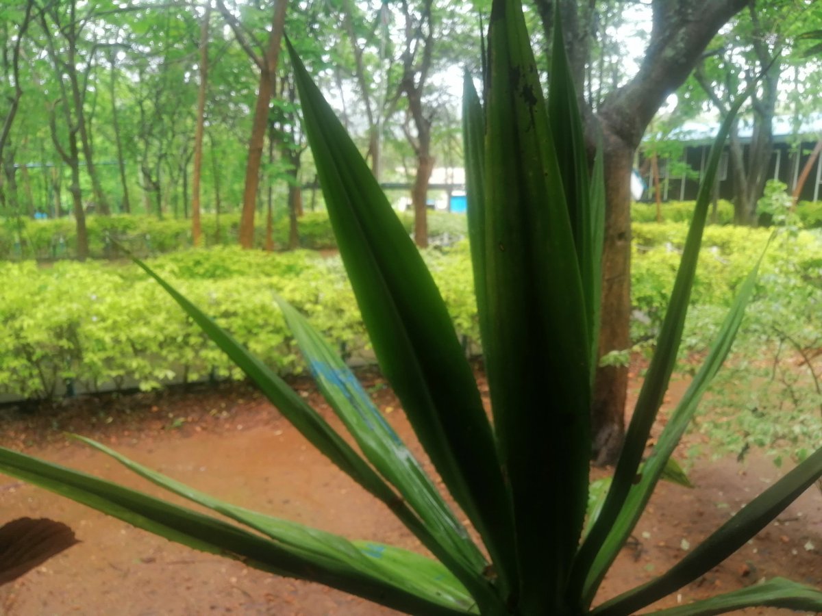 _Korle's tweet image. #fusefusion #TribecapitalFm #thefuse984