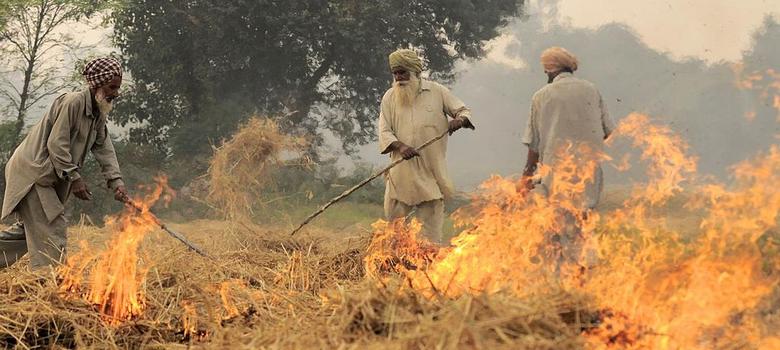 Concerning rise in farm fires in Punjab! 🌾🔥 Over 9,500 cases of stubble burning recorded this season, with the highest daily count at 1,921. Addressing this challenge is crucial for better air quality and a healthier environment. #StubbleBurning #AirQuality #PunjabFarming