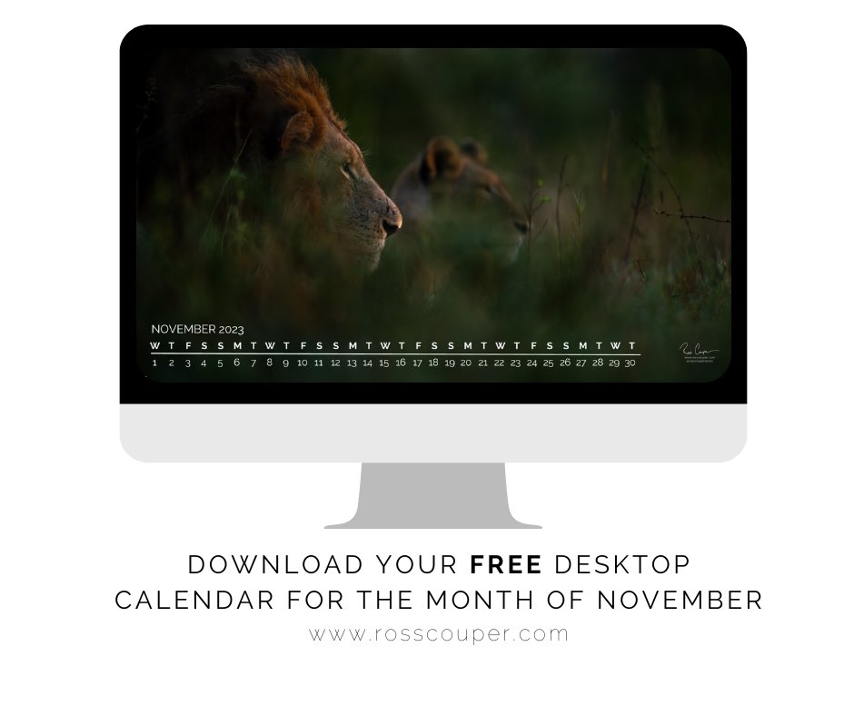 Take on November with determination.  Download your free desktop at rosscouper.com
#November #calendar