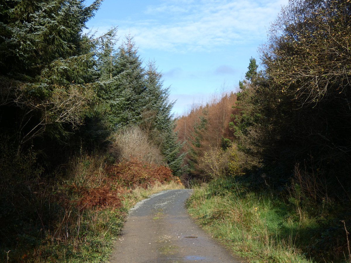 inishview's tweet photo. The Colmcille Trail near Milford in Donegal.
https://t.co/npXeUWOU7K
#Mulroy #Milford #Donegal #wildatlanticway #LoveDonegal #KeepDiscovering #visitdonegal #bestofnorthwest #LoveThisPlace #visitireland #discoverdonegal #govisitdonegal #discoverireland #ireland #photography https://t.co/qDTWwgeSQY