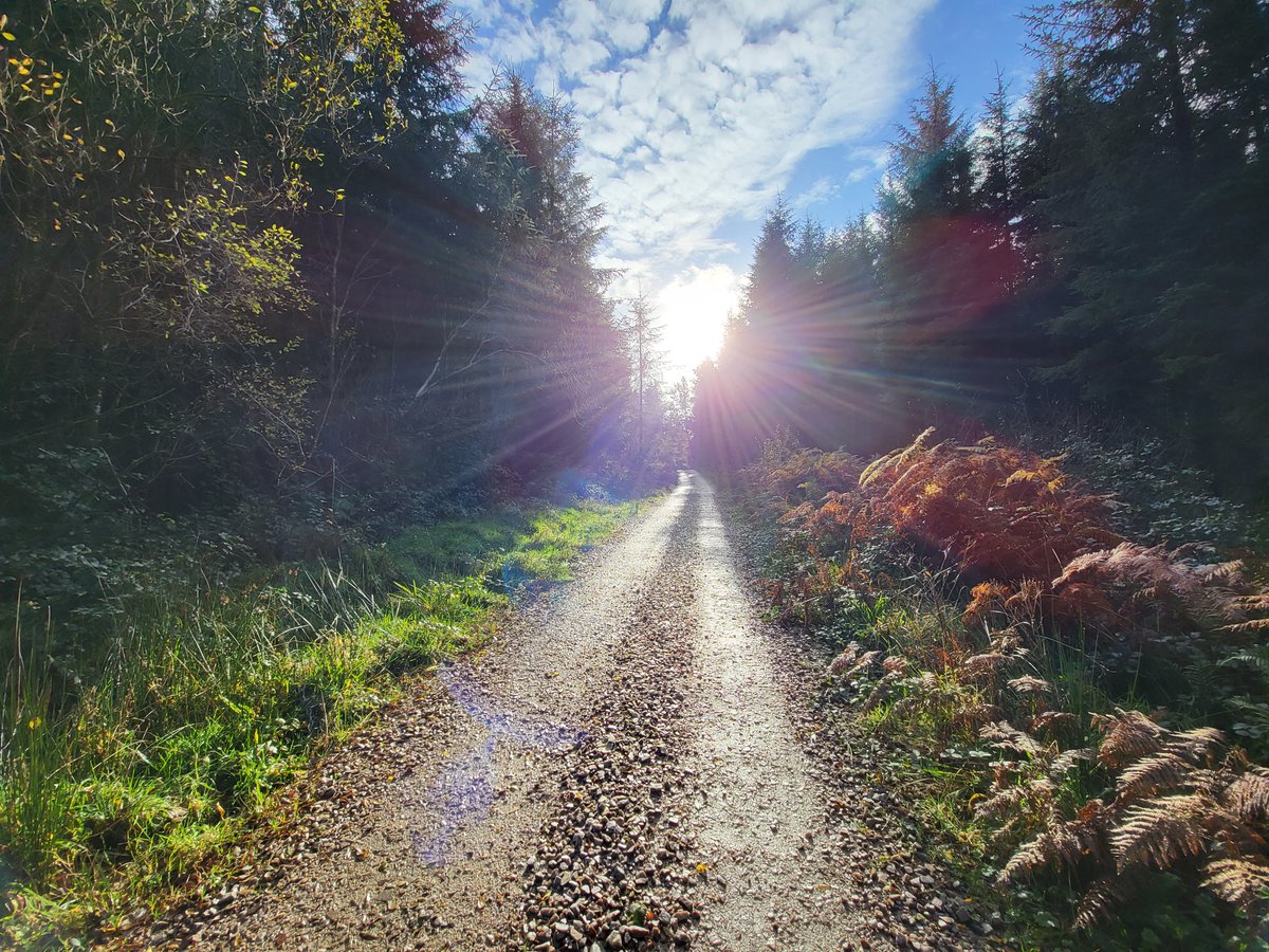 inishview's tweet photo. The Colmcille Trail near Milford in Donegal.
https://t.co/npXeUWOU7K
#Mulroy #Milford #Donegal #wildatlanticway #LoveDonegal #KeepDiscovering #visitdonegal #bestofnorthwest #LoveThisPlace #visitireland #discoverdonegal #govisitdonegal #discoverireland #ireland #photography https://t.co/qDTWwgeSQY