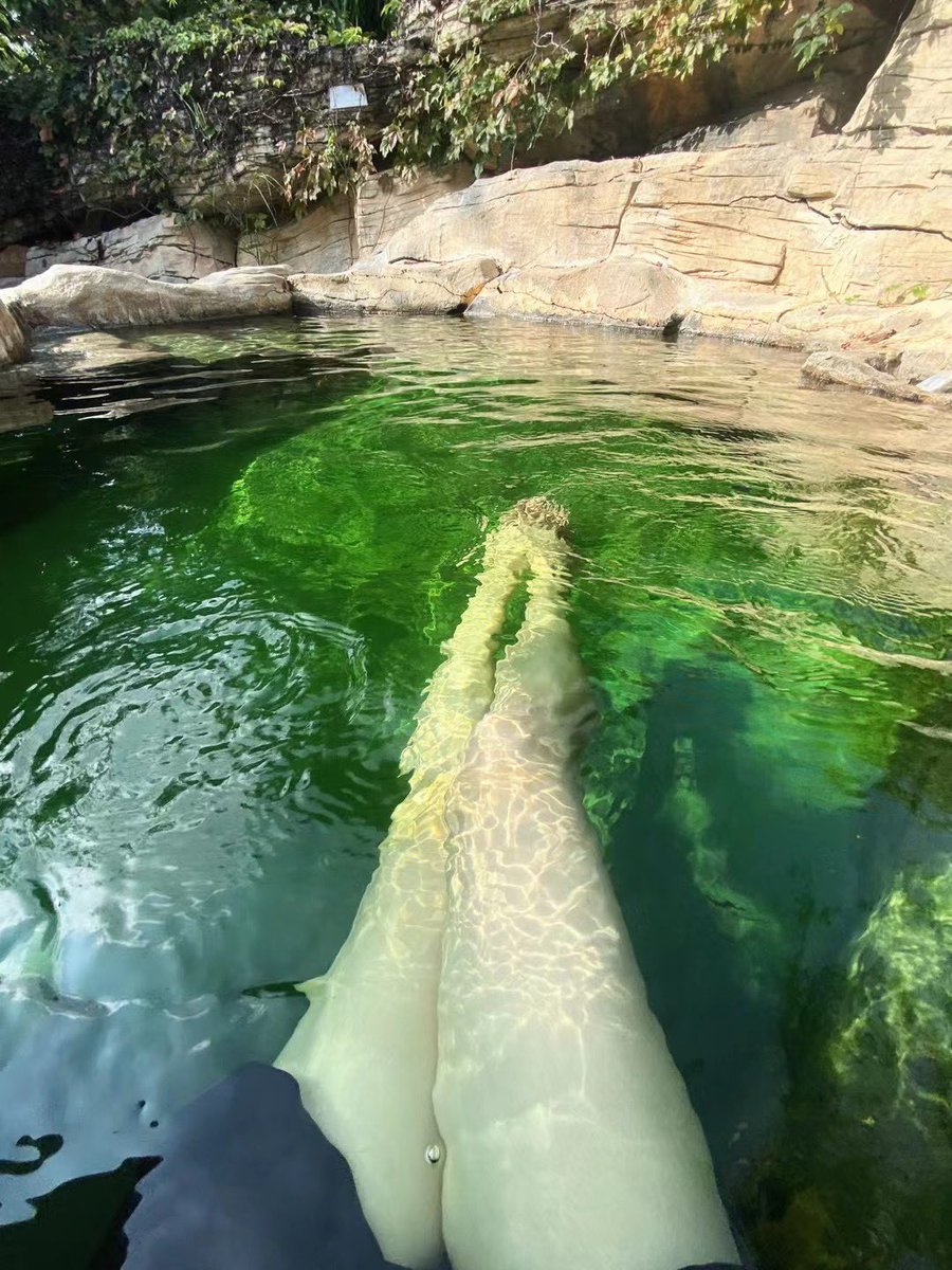 不想动脑 #美腿 #女大