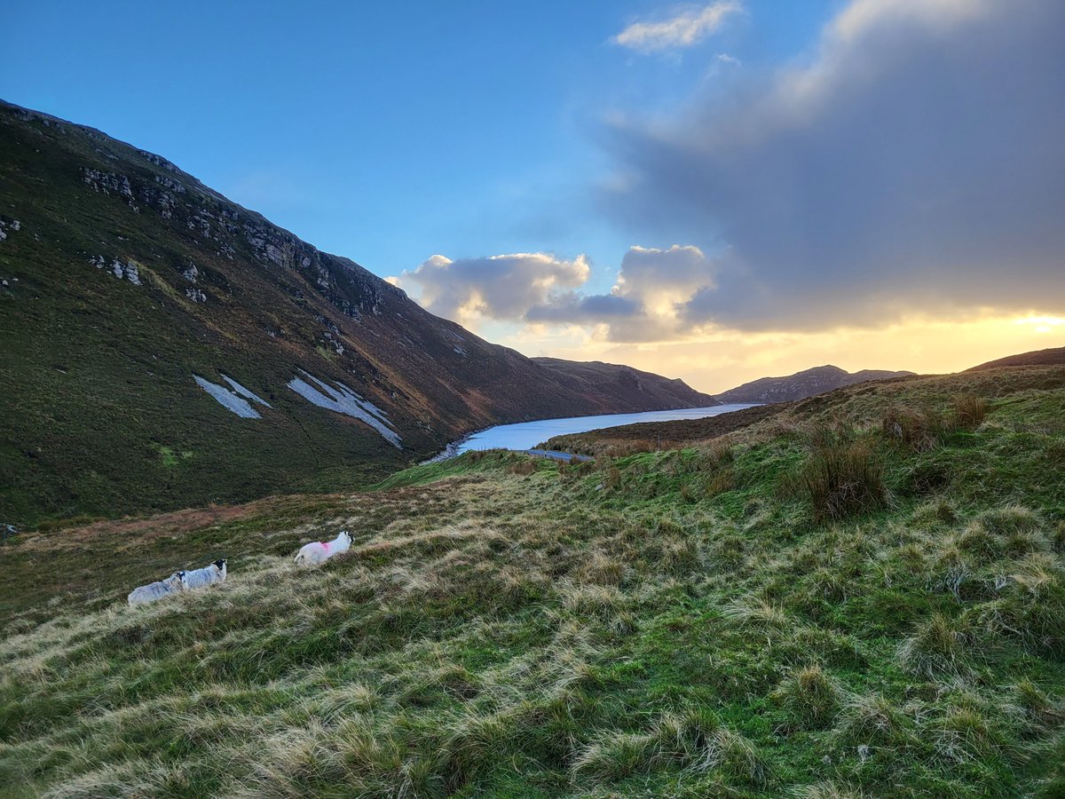 inishview's tweet photo. Views From Lough Salt in Donegal.
https://t.co/RJDLsWLIQ4
#Mulroy #Milford #Donegal #wildatlanticway #LoveDonegal #KeepDiscovering #visitdonegal #bestofnorthwest #LoveThisPlace #visitireland #discoverdonegal #govisitdonegal #discoverireland #ireland #photography https://t.co/qjOHCDyEvu