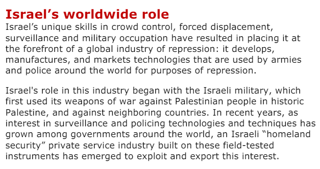 Dad 🔻 tweet media