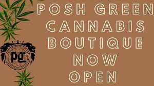 Poshgreensf's tweet photo. BACK OPEN! MON-FRIDAY 11-8PM &amp; SATURDAY 9-6PM https://t.co/5cRB08Hv5z