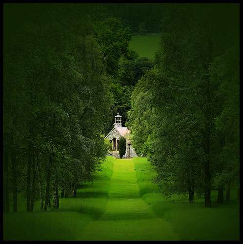 Summer Green, Botanical Gardens, Peebles, Scotland #SummerGreen #BotanicalGardens #Peebles #Scotland jasontrevino.com