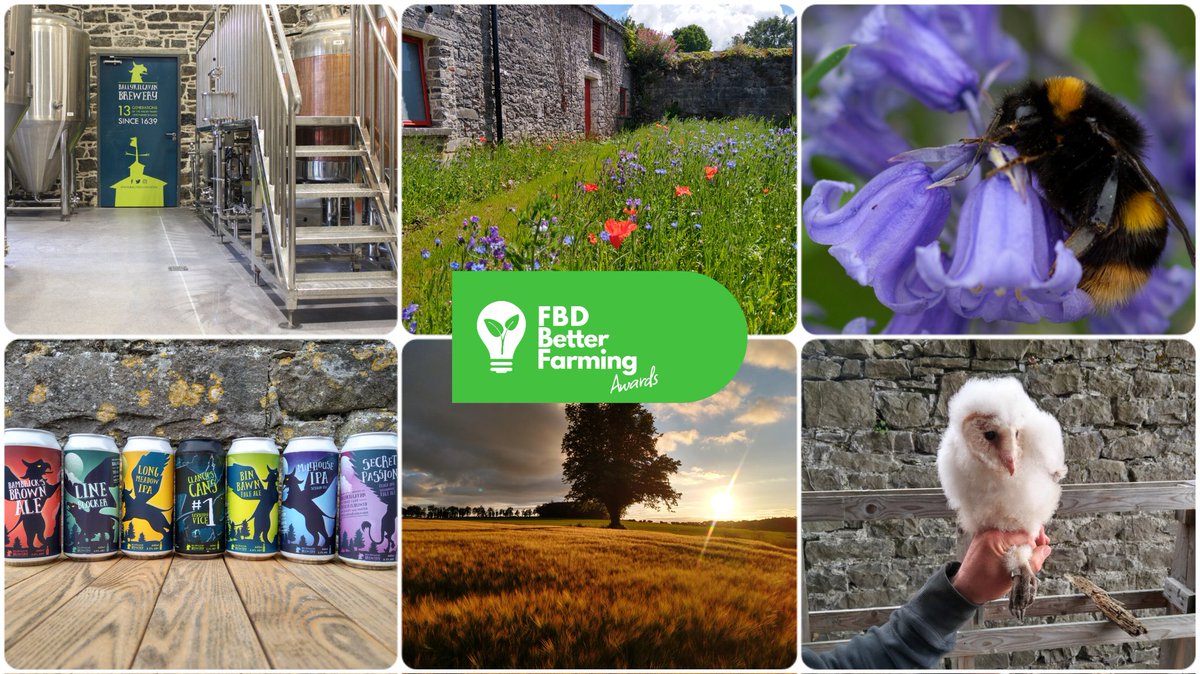 Ballykilcavan tweet media