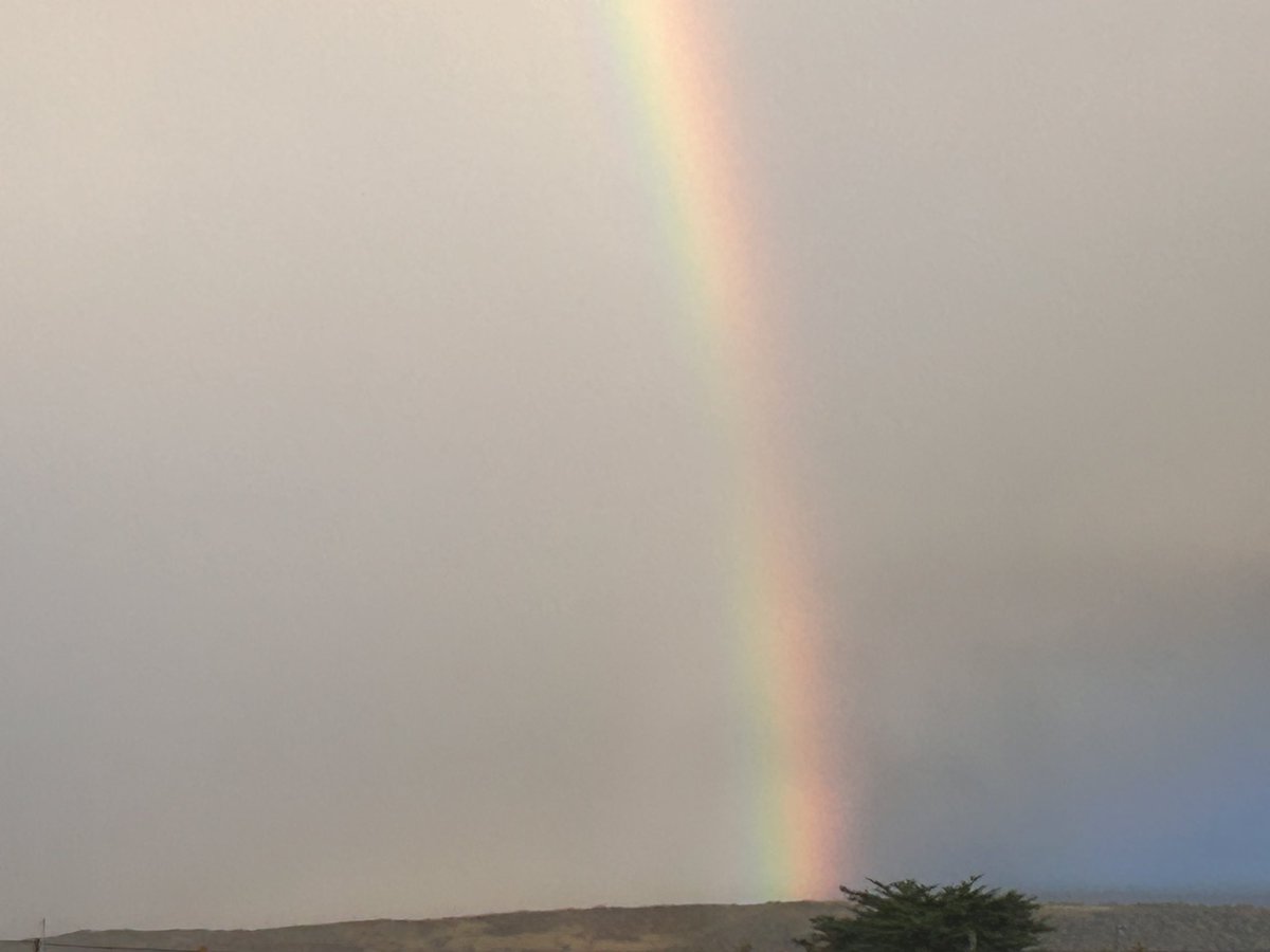 A gift this morning, vibrant rainbow showing the way 🌈🙏🏻 #wellbeing #WhatMattersToYou