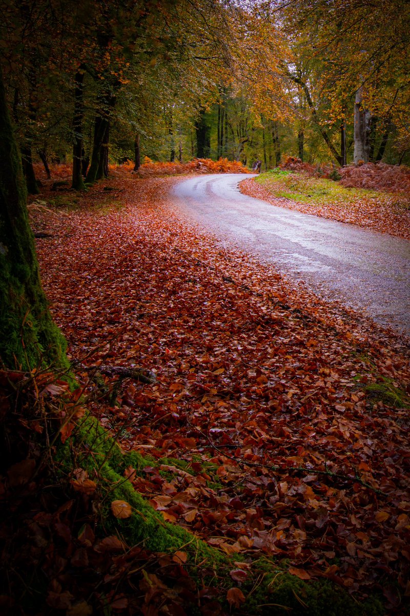 𝐌𝐚𝐭𝐭 𝐏𝐢𝐧𝐧𝐞𝐫 tweet media