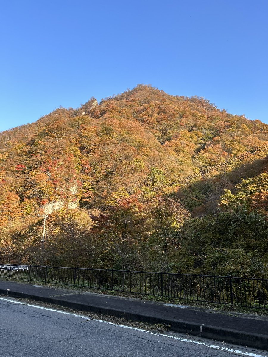 ubawarerumono's tweet photo. #烏川渓谷ロードレース
#はまゆう山荘
試走中にサルいました🐵 https://t.co/FopxImIn1D