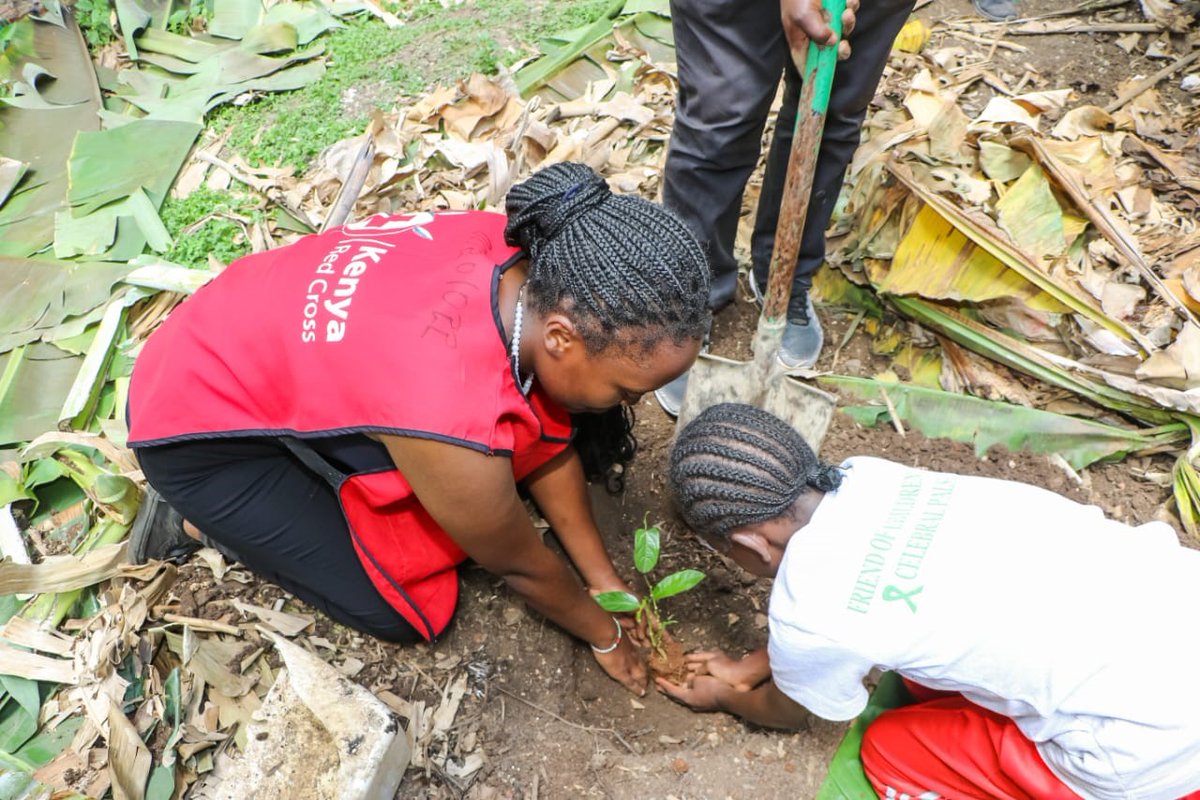 EUAmbKenya's tweet photo. #GenerationGreen is planting trees to invest in a sustainable future. We believe that youth aren't just future leaders — they're actively leading today to shape a better tomorrow. #climateaction @KenyaRedCross https://t.co/khb0AEJgw3