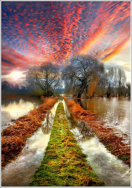 water_planet's tweet photo. River Path, Alsace, France #RiverPath #Alsace #France https://t.co/s3lVpEIpJt https://t.co/aDL2lEMLlr