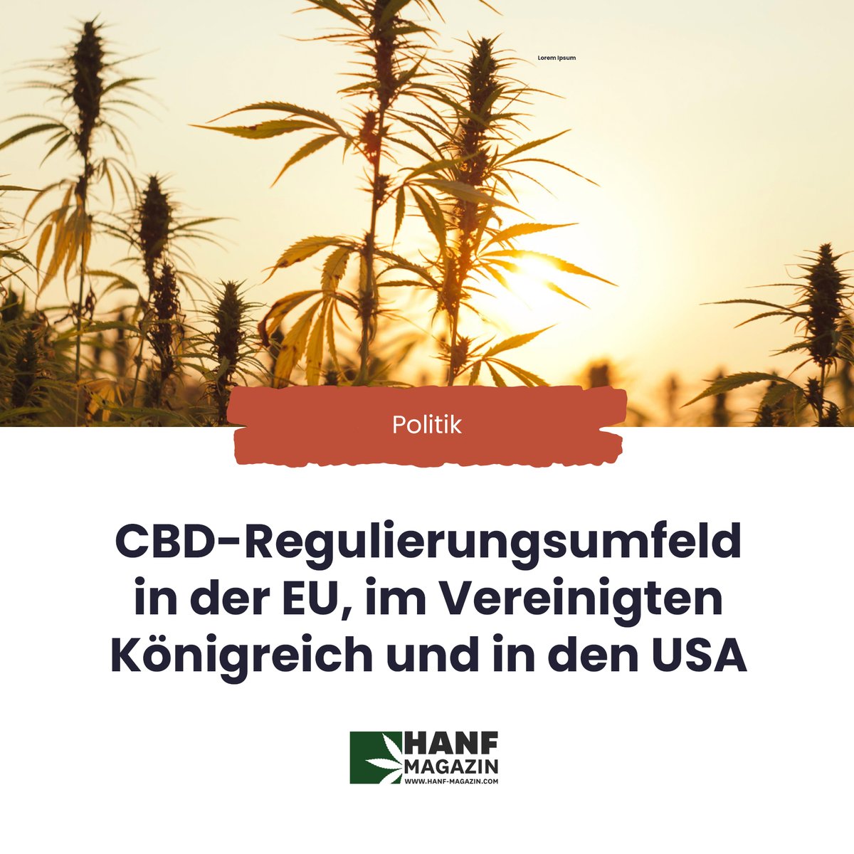 hanfmagazin's tweet photo. CBD-Regulierungsumfeld in der EU, im Vereinigten Königreich und in den USA
https://t.co/FHEC5PLAat
⏩ Dieser Artikel erschien in der Hanf Magazin Print-Ausgabe 13: https://t.co/lTrtEWv1ht
#hanfmagazin #hanfpolitik #cbd #hanfprodukte #EIHA #hanfbranche #hanflebensmittel https://t.co/pU9lcjQju5