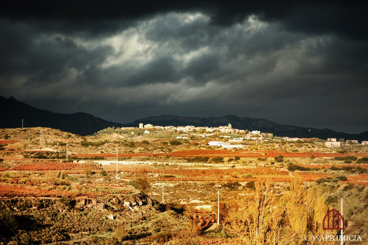 🔴👉 Recorrer el entorno de #Laguardia estos días de #otoño y no parar de sorprenderte… Luces, sombras, colores… #guardaviñas #viñedos #vineyards #enoturismo #winetourism #wine #wein #turismo #euskadi #riojaalavesa #alavaturismo