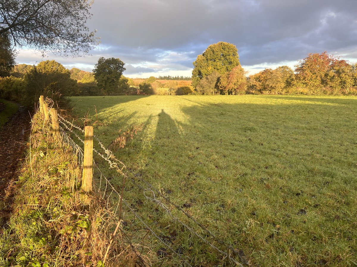 My morning walk 😊

⁦<a href="/LoveBridgnorth/">LoveBridgnorth</a>⁩ #Shropshire
