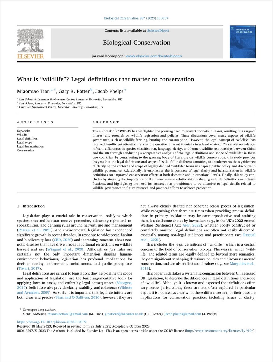 Miaomiao Tian (@meowmiaotian) on Twitter photo 📣 New Paper Alert! 📃Thrilled to announce my *first* published paper, "What is 'wildlife'? Legal definitions that matter to conservation", with contributions from <a href="/Drgpotter/">Gary Potter</a> @_JPhelps . Check it out now! Thank you so much 🐾💚 doi.org/10.1016/j.bioc… #conservation #wildlife #law 📣 New Paper Alert! 📃Thrilled to announce my *first* published paper, "What is 'wildlife'? Legal definitions that matter to conservation", with contributions from <a href="/Drgpotter/">Gary Potter</a> @_JPhelps . Check it out now! Thank you so much 🐾💚 doi.org/10.1016/j.bioc… #conservation #wildlife #law