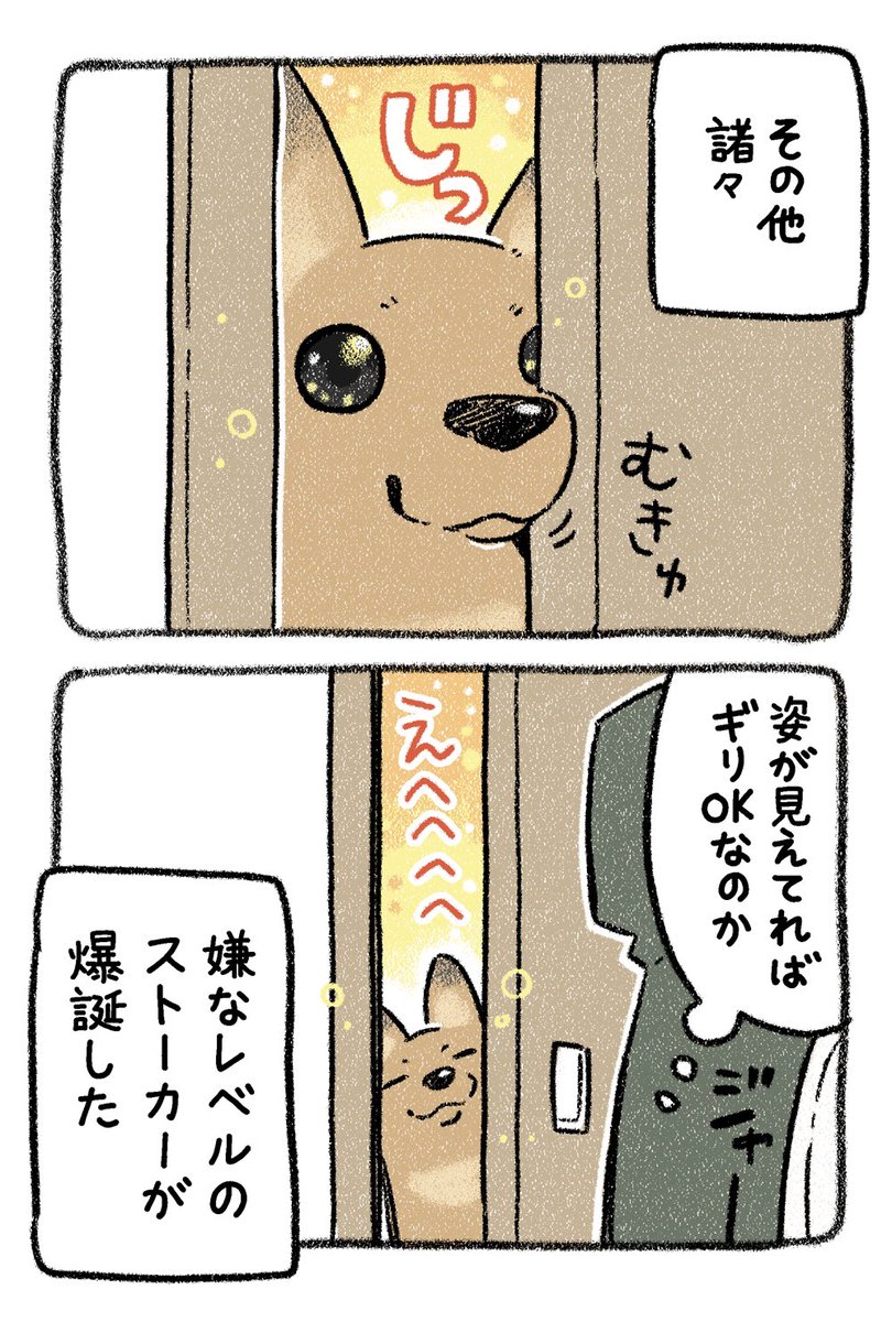保護犬茶々のお話【第12話】
むきゅ(*'ω'*)
#漫画が読めるハッシュタグ 