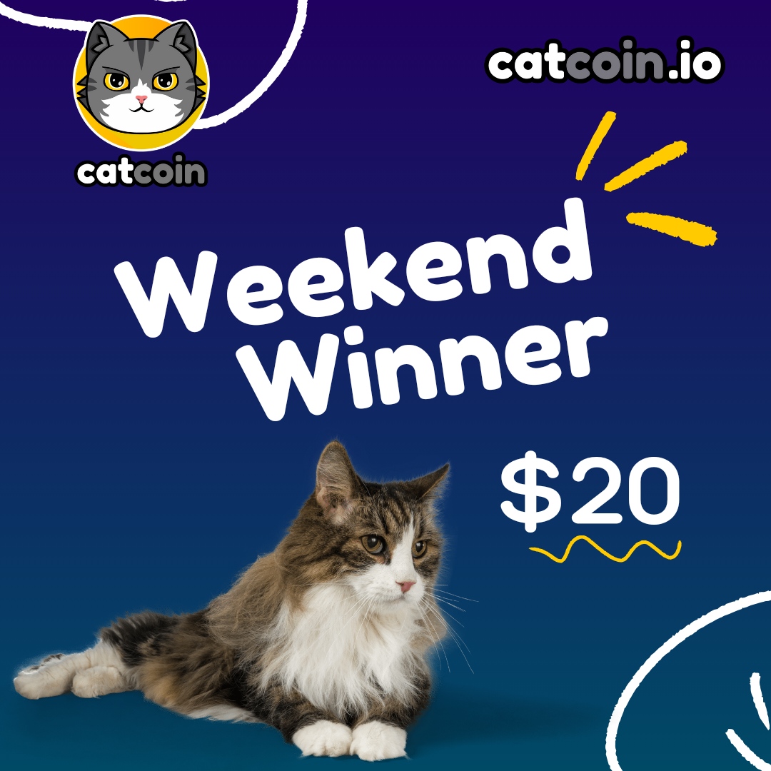 officialcatcoin's tweet photo. WEEKEND WINNER - $20 

• Follow @officialcatcoin
• Retweet
• And comment #Catcoin #BUSD #giveaway

Ends November 4th at 8am UTC https://t.co/JldAmXvgdk