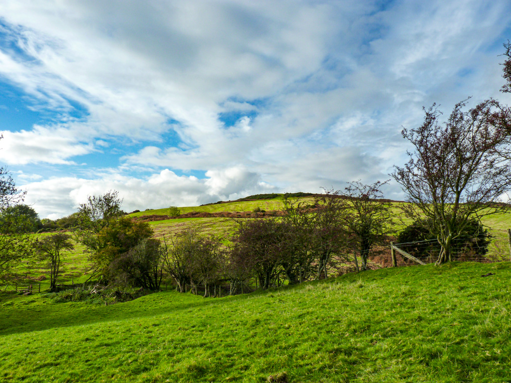 Pamela Jones tweet media