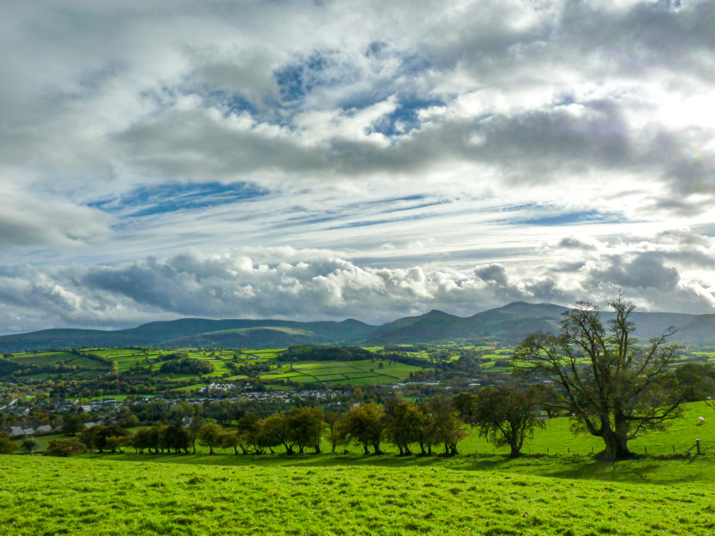 Pamela Jones tweet media