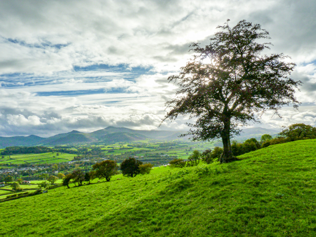 Pamela Jones (@jones8pamela) on Twitter photo A short walk to enjoy a brief respite from the rain and take in the splendour of the Bannau Brycheiniog/Brecon Beacons <a href="/ItsYourWales/">It's Your Wales</a> <a href="/BannauB/">Bannau Brycheiniog (Brecon Beacons) National Park</a> <a href="/VisitBeacons/">Visit Brecon Beacons Bannau Brycheiniog</a> #peoplewithpassion #Brecon A short walk to enjoy a brief respite from the rain and take in the splendour of the Bannau Brycheiniog/Brecon Beacons <a href="/ItsYourWales/">It's Your Wales</a> <a href="/BannauB/">Bannau Brycheiniog (Brecon Beacons) National Park</a> <a href="/VisitBeacons/">Visit Brecon Beacons Bannau Brycheiniog</a> #peoplewithpassion #Brecon