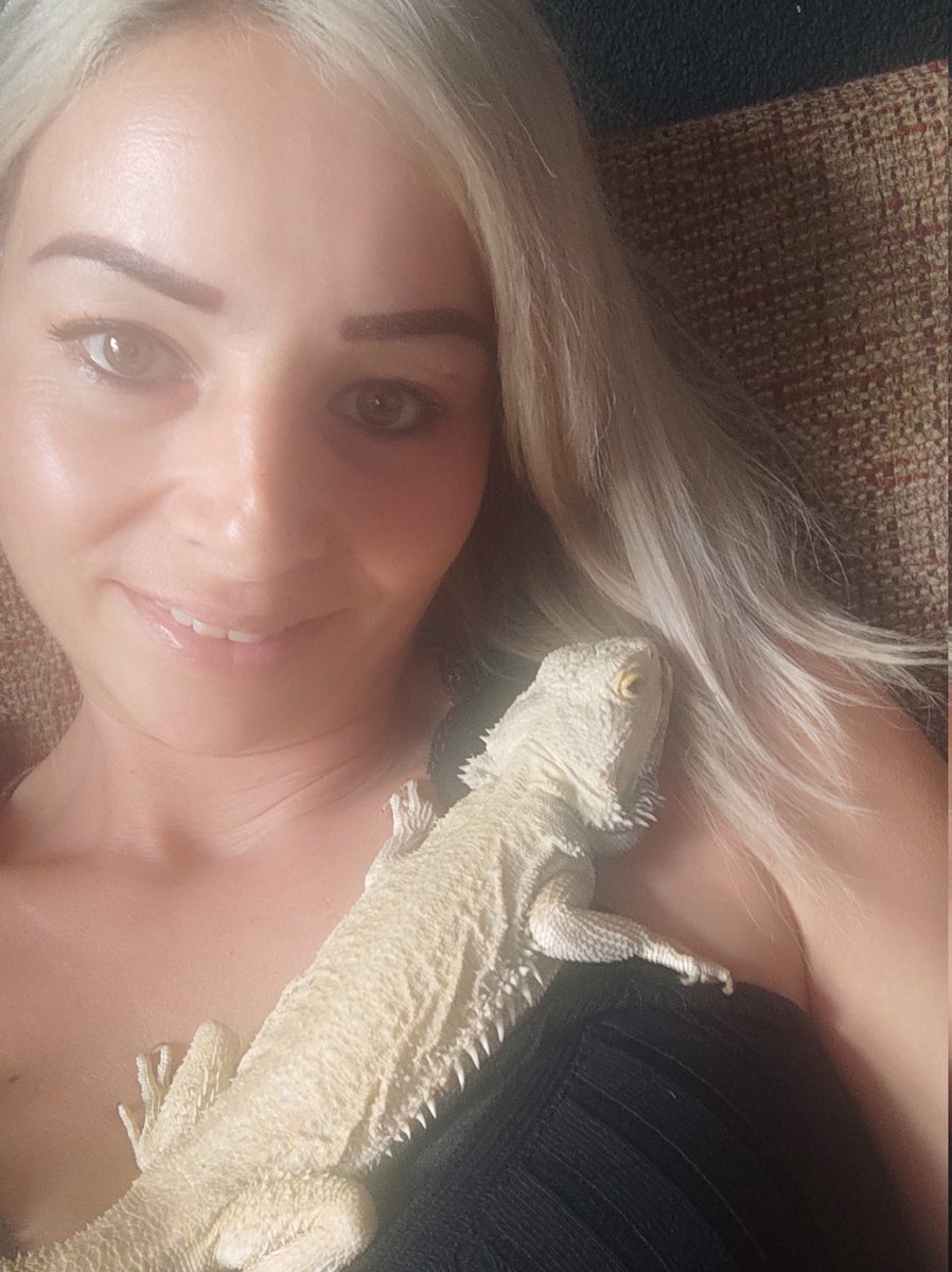 🦎🦎misscryptodragon🦎🦎 tweet media