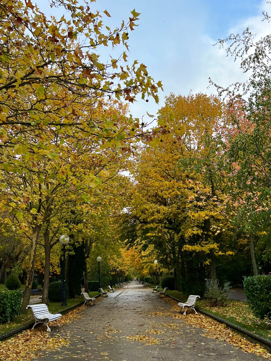 sararomeca's tweet photo. Colores otoñales en la Dehesa 🍂🍁😍 https://t.co/qmhB1d4Brt
