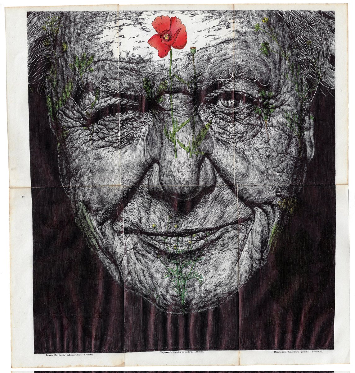 Mark Madonna tweet media