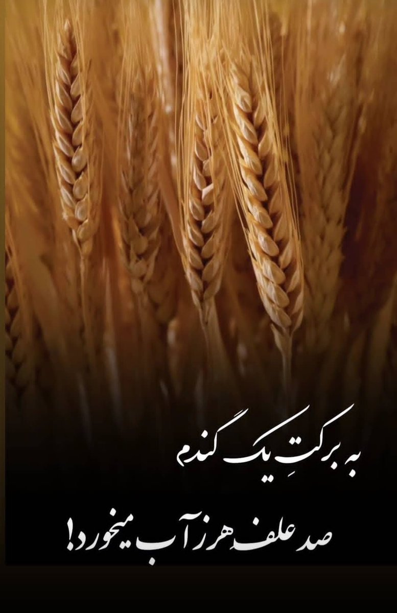 LineMatin's tweet image. 