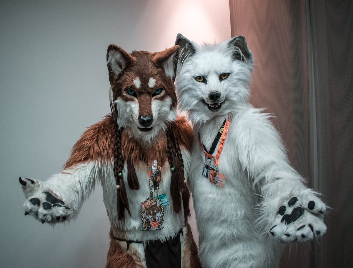 Happy #FursuitFriday in my @witlupus suit ✂️ @CopperSprite 🐺 @MilesWolf ✂️ @BeastFantasia 📸 @Luciensheppy 🗓 17.08.2019 🏨 @estrelberlin 🏙 #Berlin 🇩🇪 🦊 25. @eurofurence #EF #EF25 #EF2019 #Eurofurence #Fursuit #Furry #Wolf Follow my Berk-News (TG): t.me/Berk_News