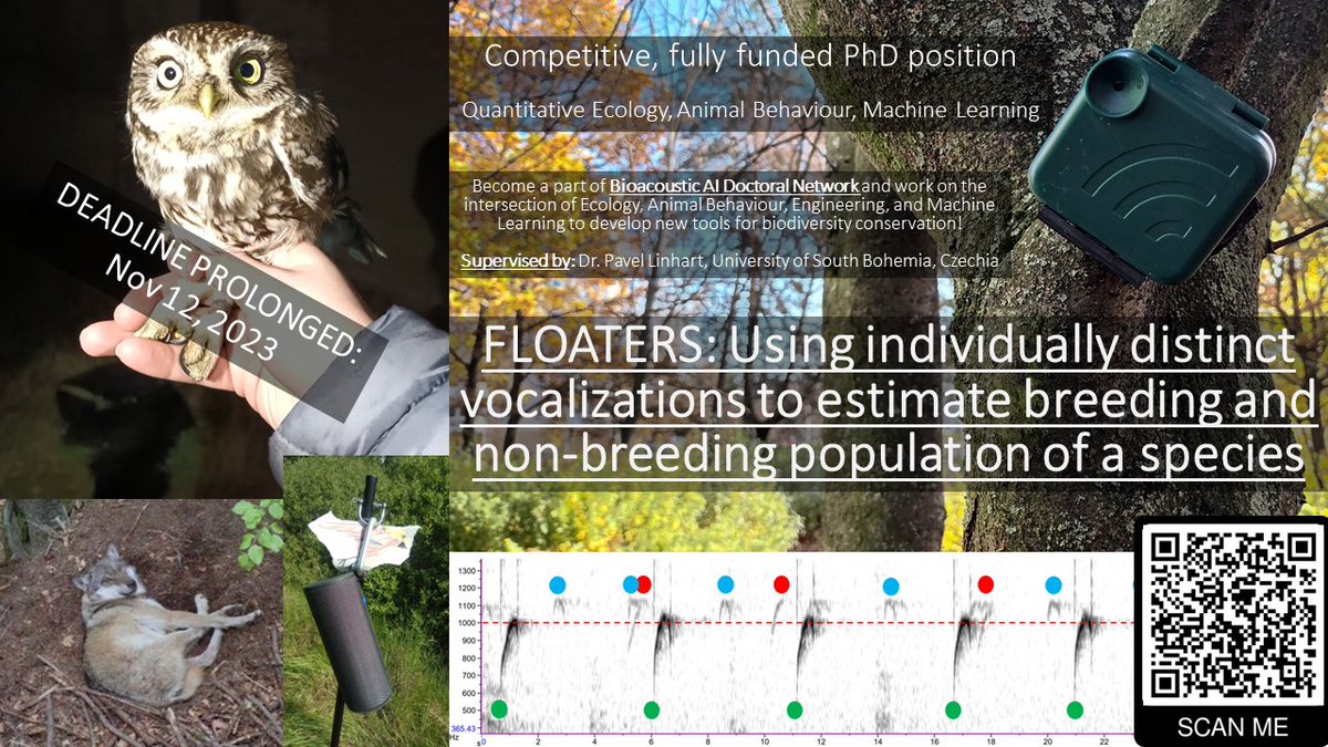 📢PhD position DEADLINE EXTENDED til Nov 12; competitive 'FLOATERS' PhD position within Bioacoustic AI Doctoral Network! Details: shorturl.at/gqAQ5 #PhDposition #Bioacoustics #Ecology #AnimalBehaviour #MachineLearning #Biodiversity  BioacousticAI: bioacousticai.eu