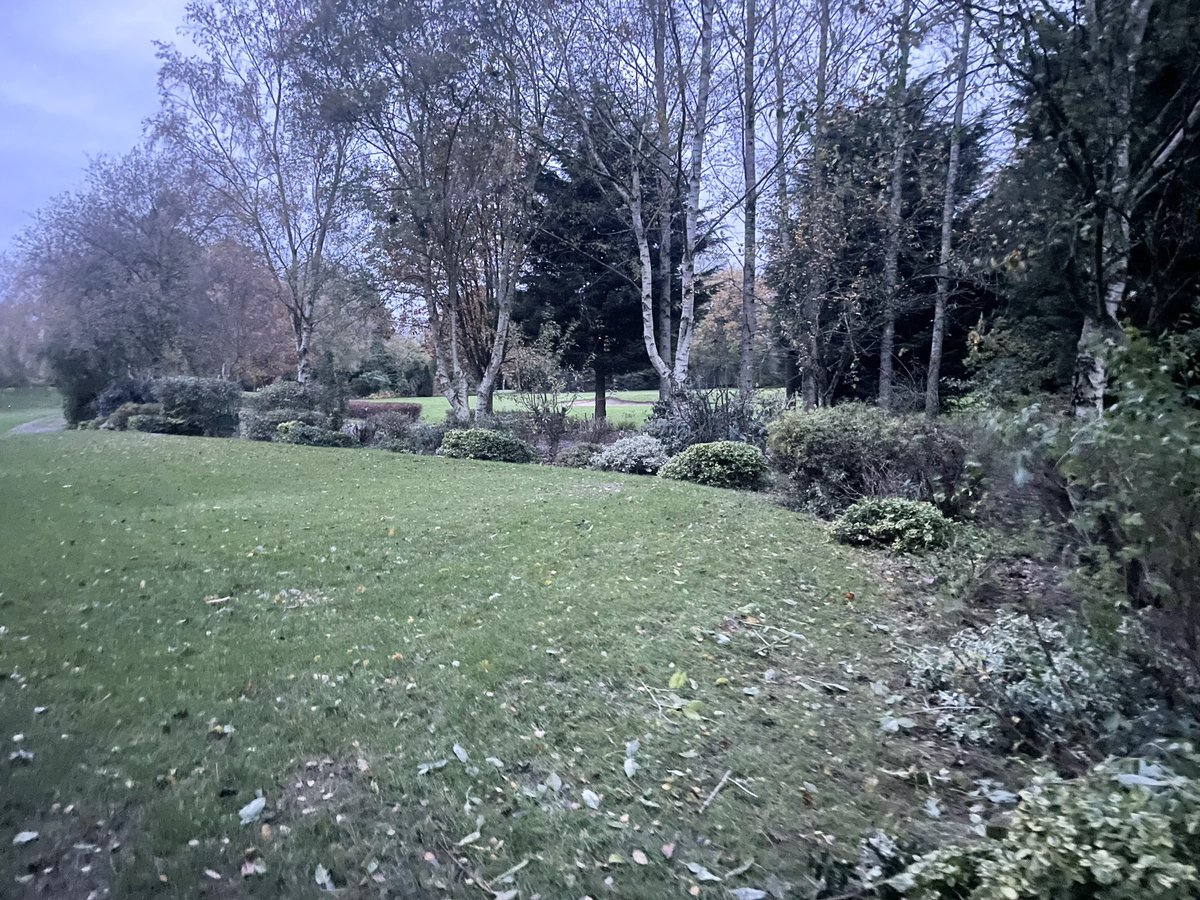 ryan_oliver1's tweet photo. Busy week on course despite us being Closed due to flooding. Team done a great job!! @CottinghamParks 
✅8th Tee shrubs &amp; trees pruned and thinned out
✅Old 1st tee hedge halved 
✅Bushes removed around clubhouse ready for the works to begin! https://t.co/Z8ZFH08Eqj