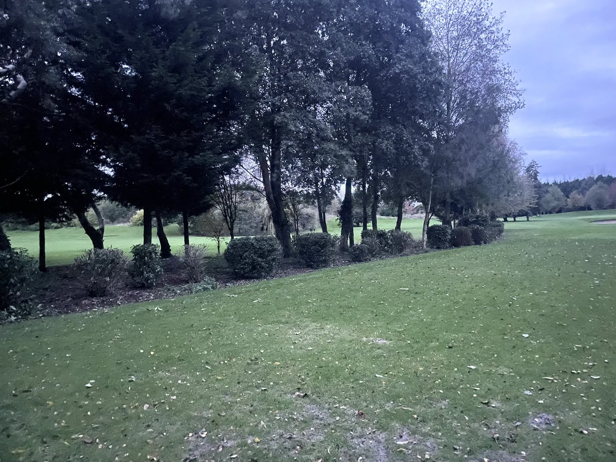 Busy week on course despite us being Closed due to flooding. Team done a great job!! <a href="/CottinghamParks/">Cottingham Parks</a> 
✅8th Tee shrubs &amp; trees pruned and thinned out
✅Old 1st tee hedge halved 
✅Bushes removed around clubhouse ready for the works to begin!