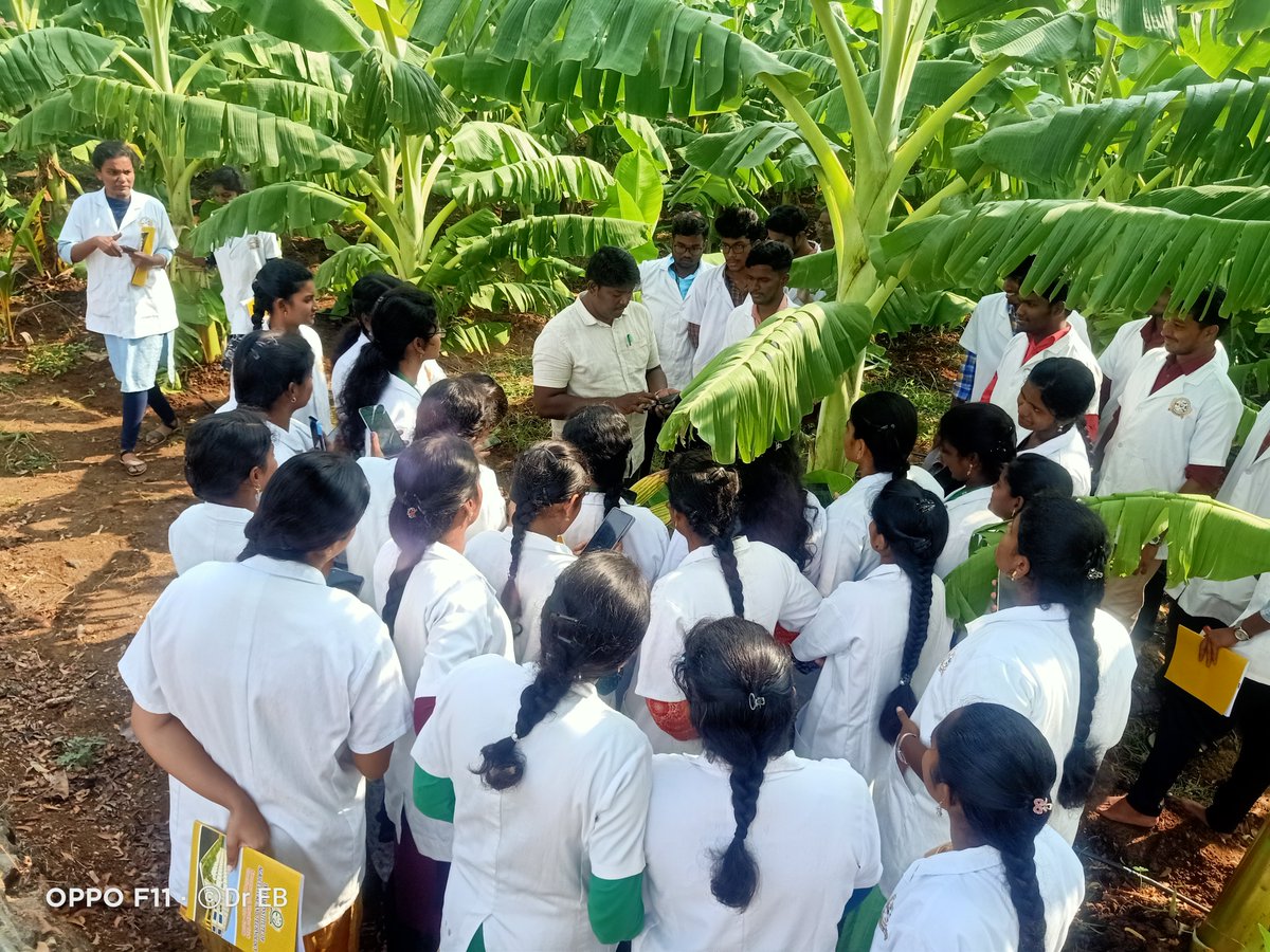 Banana Ai app(Tumaini) technology dissemination and on farm practicing of the app by agriculture students,  Tamil Nadu ,South India ,India
<a href="/MICHAELSELVARA7/">MICHAEL GOMEZ SELVARAJ - Phenomics Lab</a>
<a href="/BiovIntCIAT_eng/">Alliance of Bioversity International and CIAT</a>
<a href="/CGIAR/">CGIAR</a> 
<a href="/CGIAR_Data/">CGIAR Digital Transformation</a>
<a href="/IITA_CGIAR/">IITA</a>
<a href="/RTB_CGIAR/">RootsTubersBananas Breeding</a>