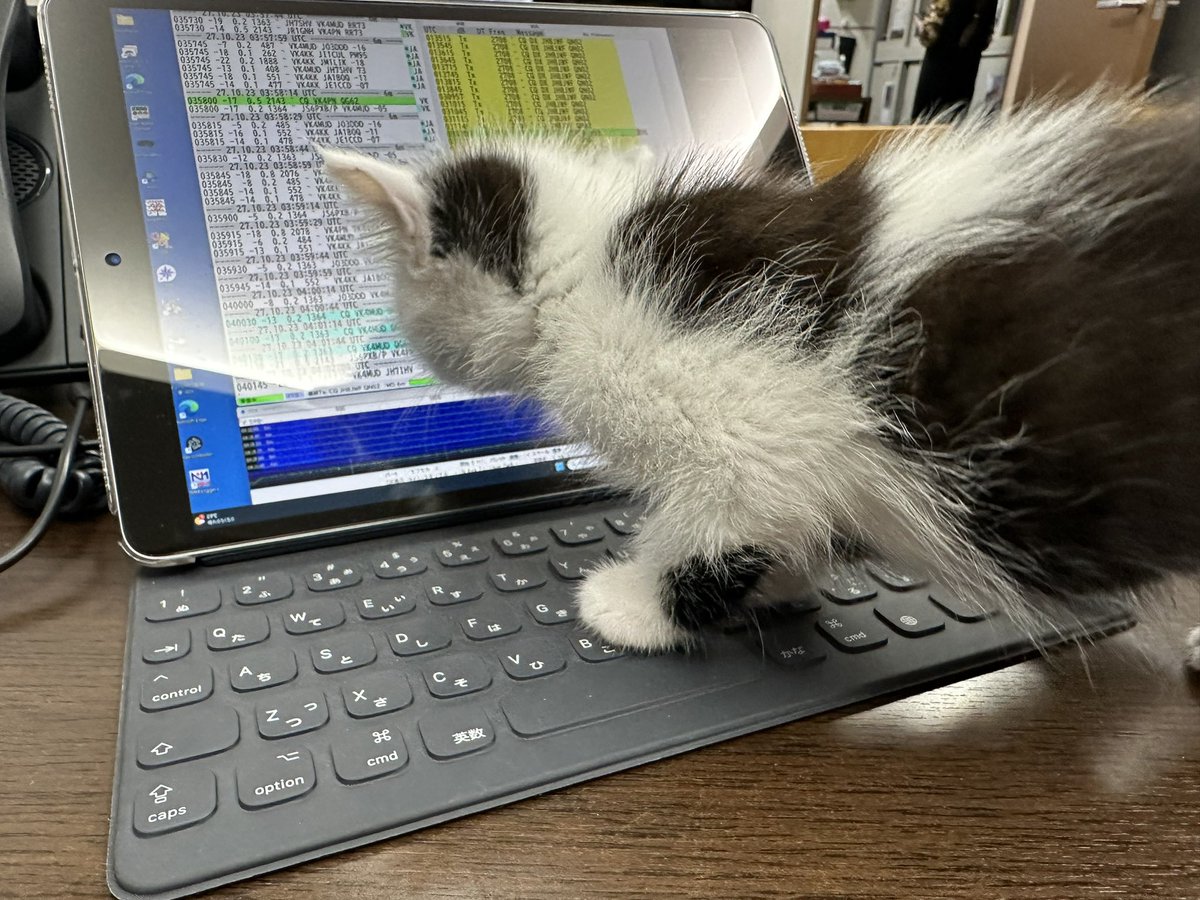 kojik59's tweet image. 何処が出てるかにゃ？今朝は南米がオープンしてコンディションが良かったニャ〜
#FT8 #MagicBand #HamRadio #6m