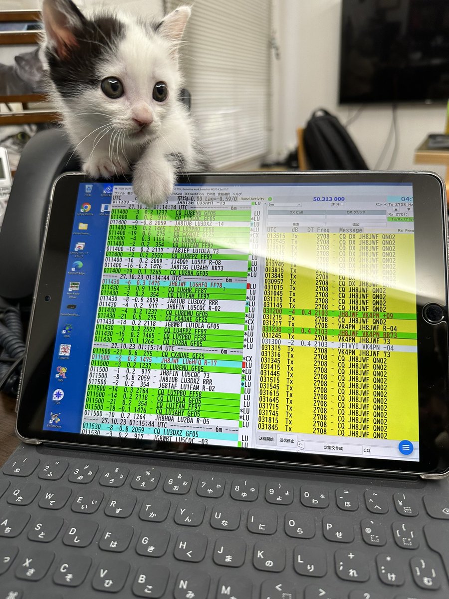 kojik59's tweet image. 何処が出てるかにゃ？今朝は南米がオープンしてコンディションが良かったニャ〜
#FT8 #MagicBand #HamRadio #6m