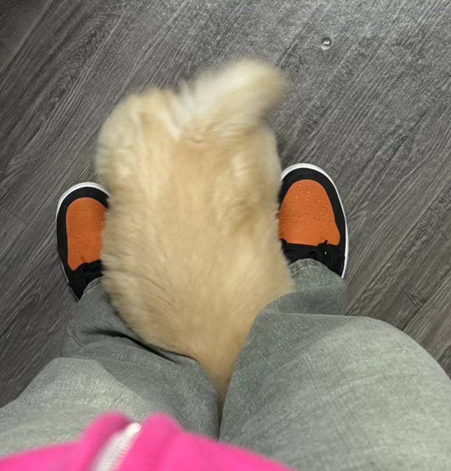 ห้ามไปไหนจนกว่าจาหอมแจ้มร้อยครั้ง