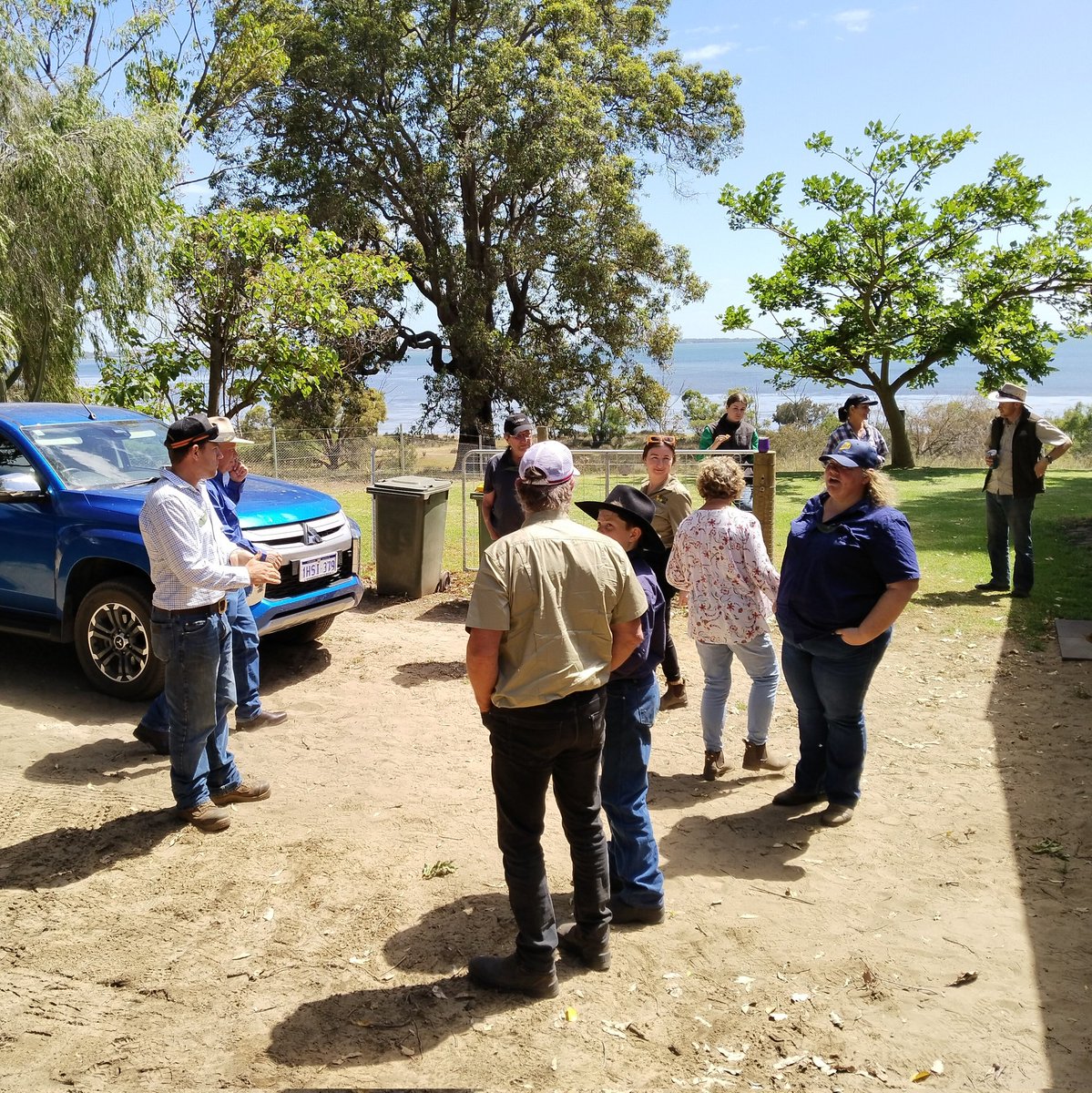 Mick Davis tweet media