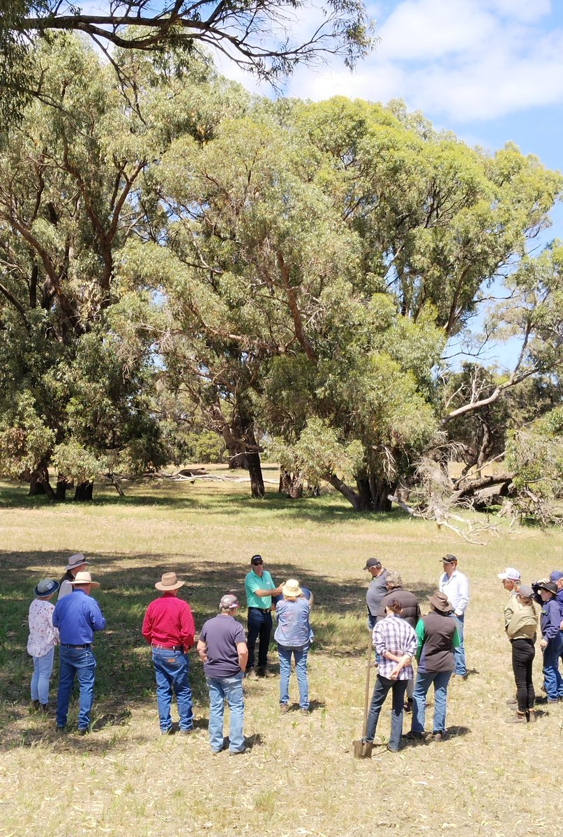 Mick Davis tweet media