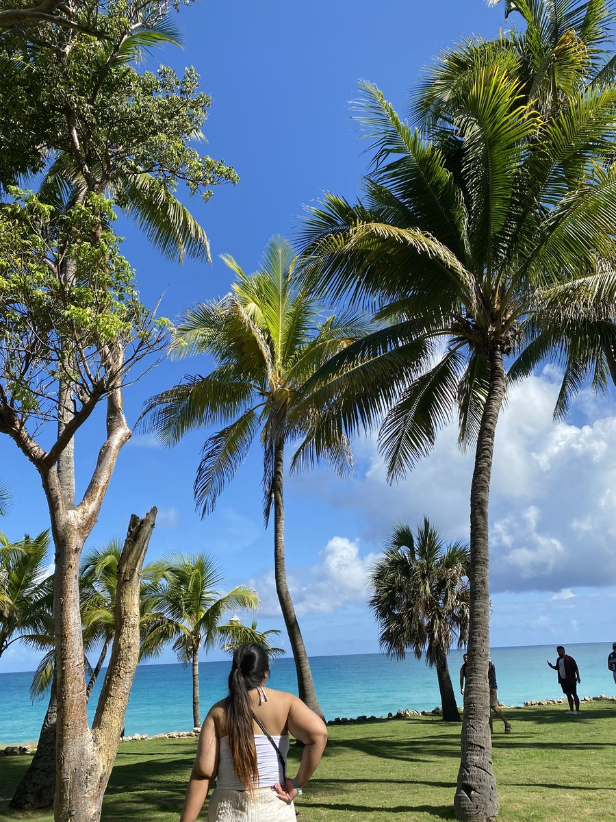 regsxm's tweet photo. ☀️🌊 https://t.co/37jSIhStGI