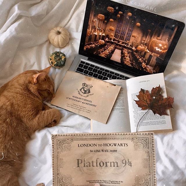 alwaysbemo's tweet image. mood tone halloween🍁🍻✨ #hlwxbbc