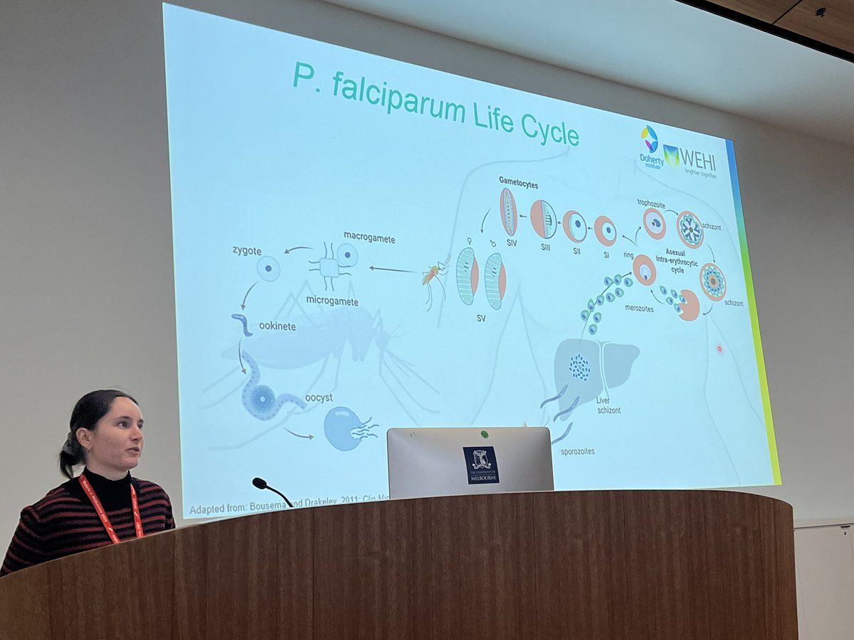 Malaria in Melbourne conference (@mim_melbourne) on Twitter photo Lastly, Katrina Larcher <a href="/WEHI_research/">WEHI (Walter and Eliza Hall Institute)</a> presents functional characterisation of the GAPM proteins in asexual and sexual stage development.
#MIM2023
#malariamelb23 Lastly, Katrina Larcher <a href="/WEHI_research/">WEHI (Walter and Eliza Hall Institute)</a> presents functional characterisation of the GAPM proteins in asexual and sexual stage development.
#MIM2023
#malariamelb23